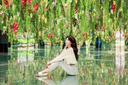 Gyeonggi Begonia Bird Park Ticket