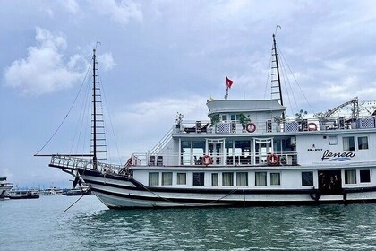 Bai Tu Long Bay 2 Days 1 Night With Renea Cruise