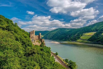 De Francfort : Excursion d’une journée dans la vallée du Rhin