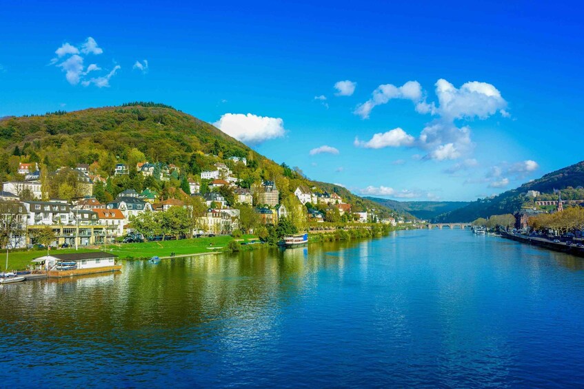 Picture 1 for Activity From Frankfurt: Rhine Valley Day Trip