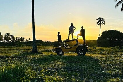 Buggy Tour Ponta to Ponta Port DE Galinhas