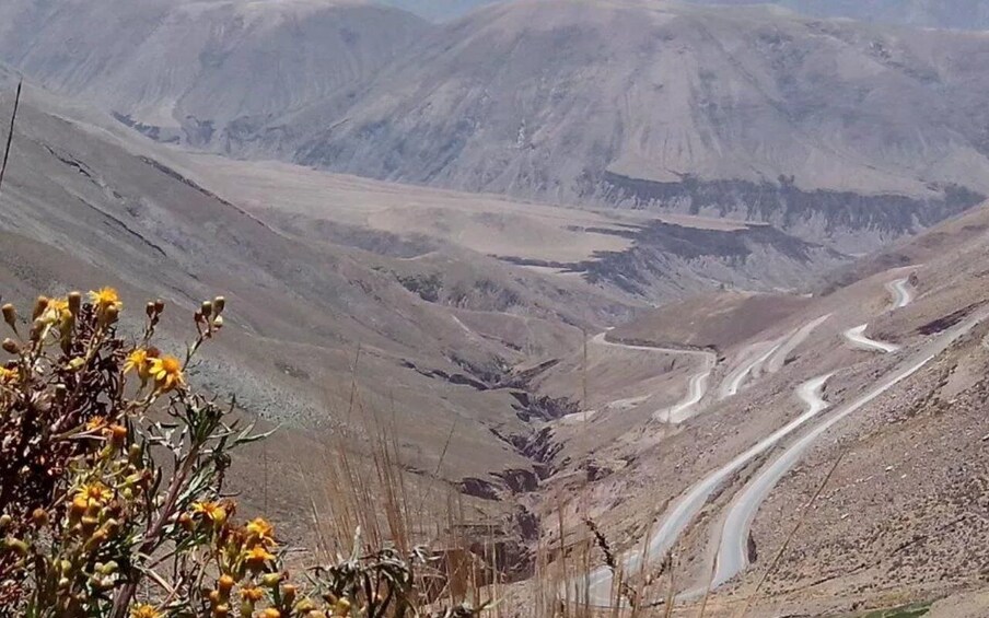 Picture 3 for Activity Salta or Jujuy: Iruya and Salinas Grandes 2-Day Tour