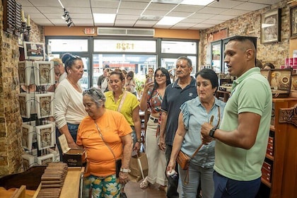 Miami City Tour with 5 Stops and Bay Walk