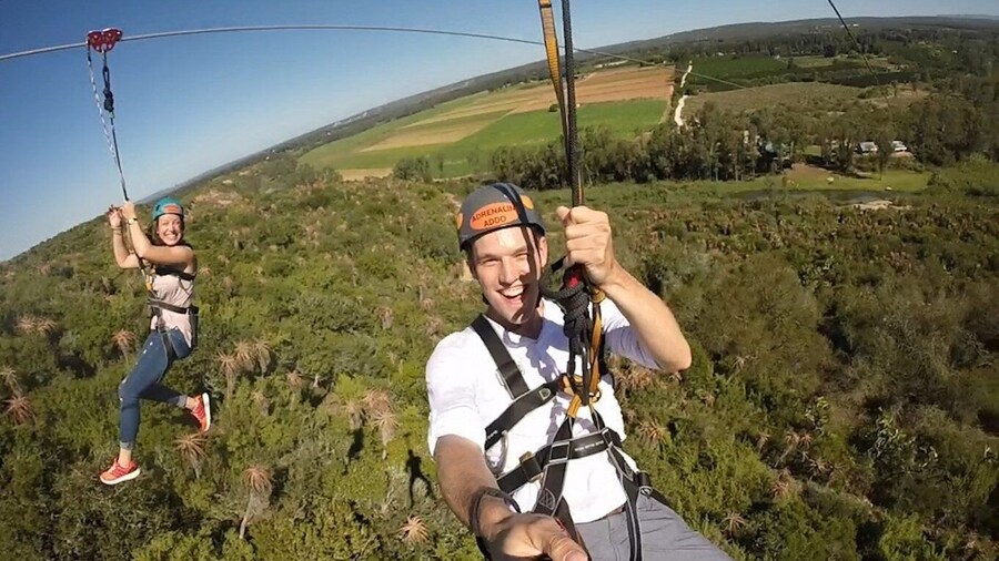 Picture 1 for Activity Addo National Park: Addo Zip Line and Giant Swing
