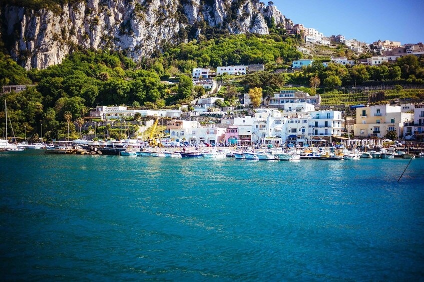 Picture 8 for Activity From Sorrento: Capri and Blue Grotto Boat Tour