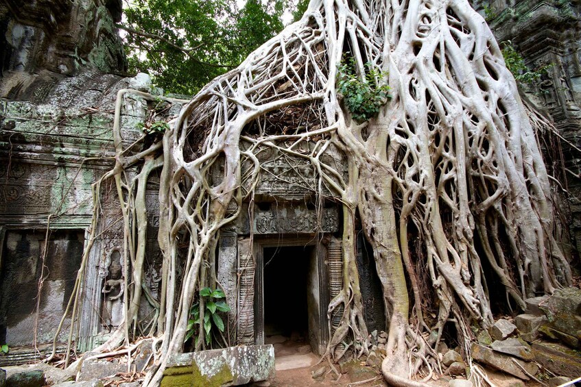 Picture 11 for Activity Siem Reap: Private Tour of Angkor Temple Complex