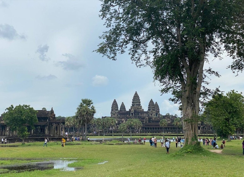 Siem Reap: Private Tour of Angkor Temple Complex