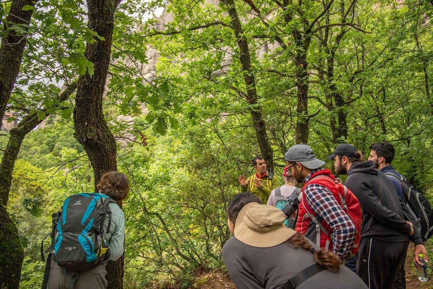 Picture 19 for Activity Kalabaka: Meteora Small-Group Hiking Tour w/ Monastery Visit