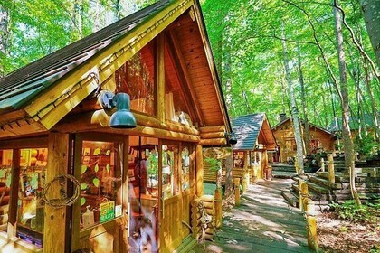 Hokkaido Scenic Day Tour: Zoo, Blue Pond, Iconic Trees & Terrace