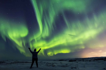 Islandia: Aurora Boreal en autobús desde Reikiavik