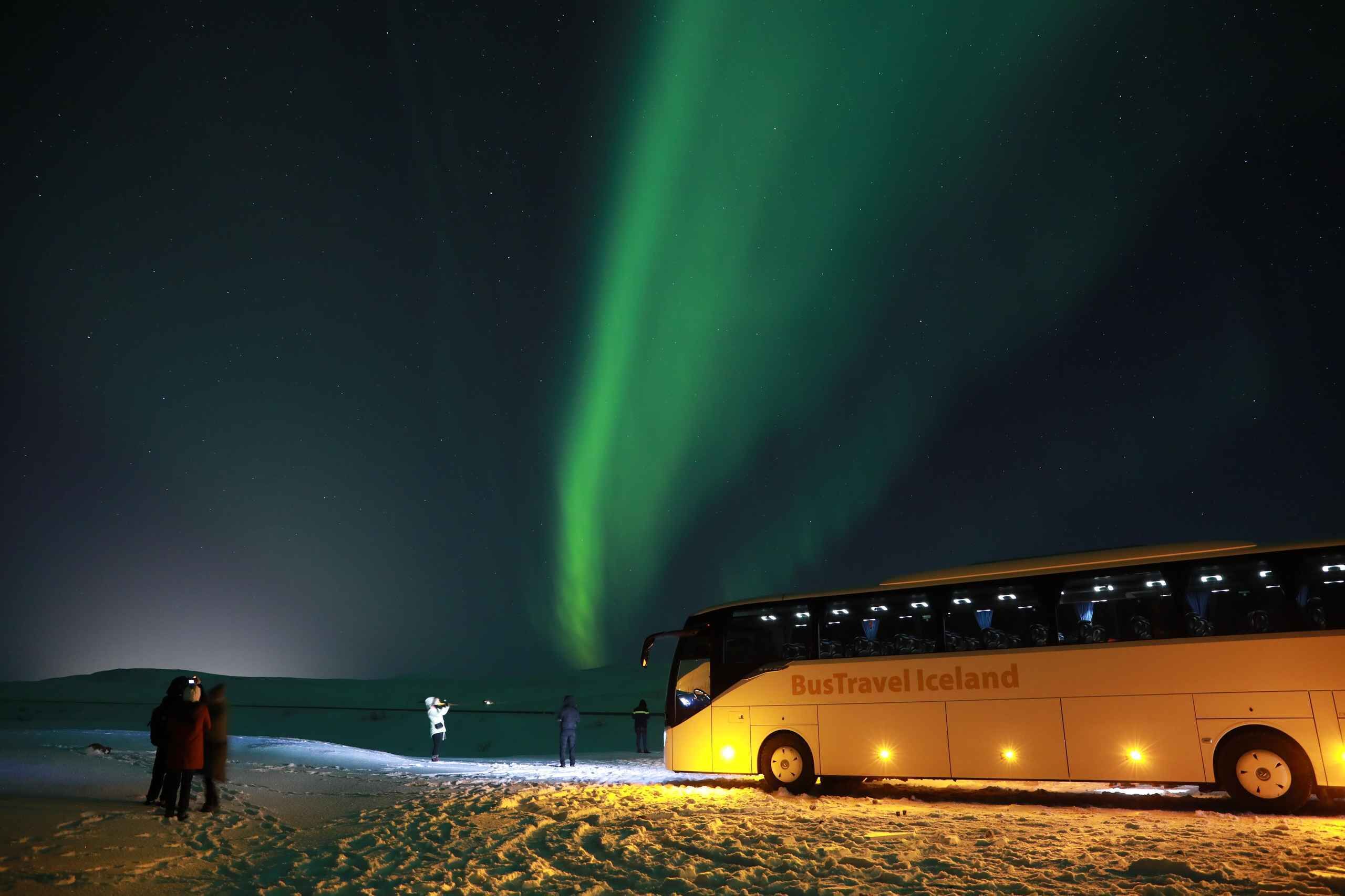 From Reykjavik: Northern Lights Bus Tour with Hot Cocoa
