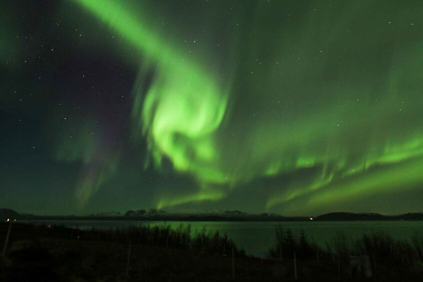 Picture 4 for Activity Iceland: Northern Lights Bus Tour from Reykjavik