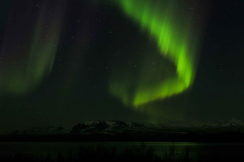 Picture 3 for Activity Iceland: Northern Lights Bus Tour from Reykjavik