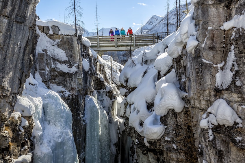 Show item 1 of 9. Group enjoying the view from a bridge in Banff
