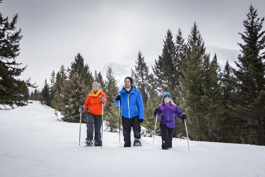 Show item 5 of 9. Snowshoeing group in Banff