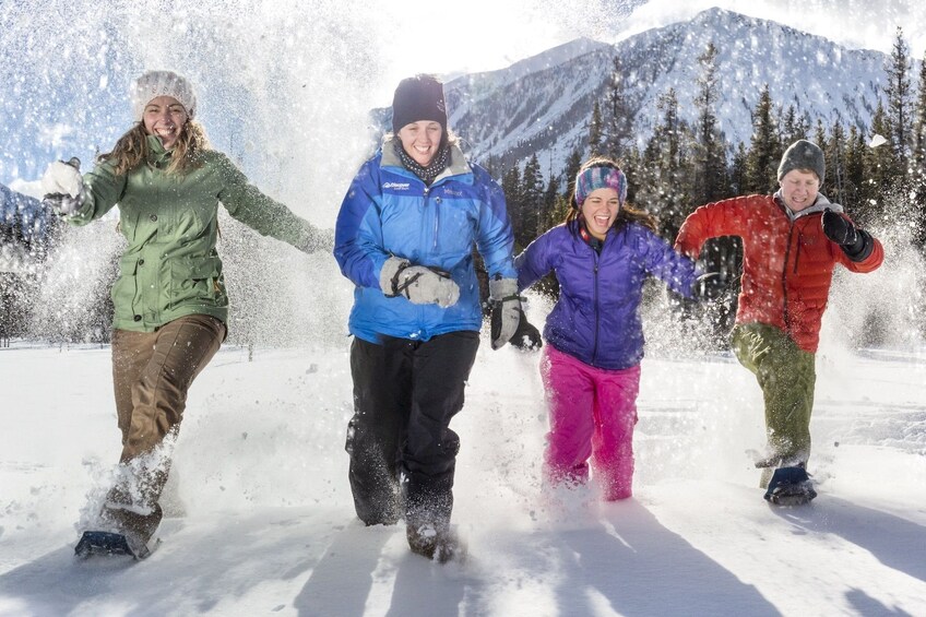 Show item 3 of 9. Snowshoeing group in Banff