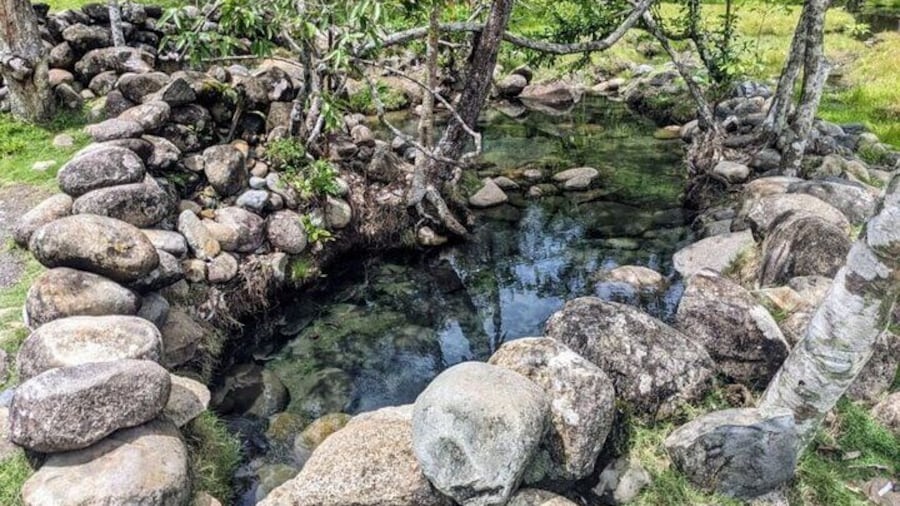 Boquete Hidden Gems: Hot springs and waterfalls Private tour