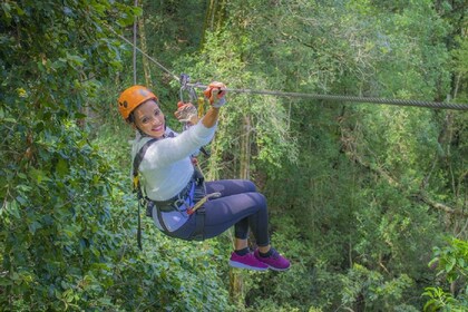 Storms River: Tsitsikamma National Park Zipline Canopy Tour