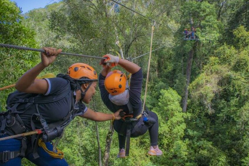 Picture 13 for Activity Storms River: Tsitsikamma National Park Zipline Canopy Tour