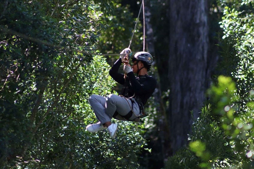 Picture 15 for Activity Storms River: Tsitsikamma National Park Zipline Canopy Tour