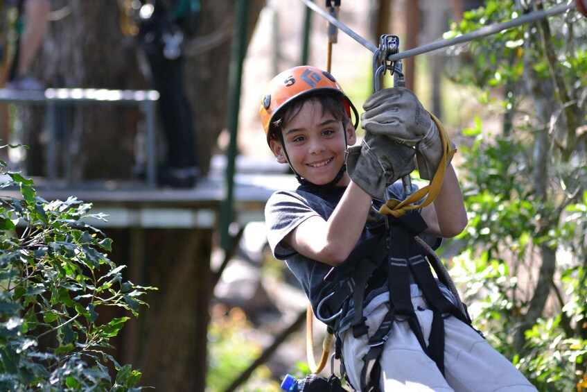 Picture 5 for Activity Storms River: Tsitsikamma National Park Zipline Canopy Tour