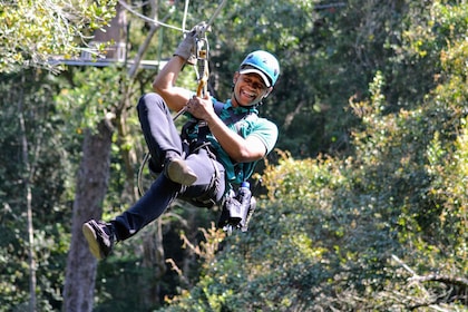 Storms River: Tsitsikamma National Park Zipline Canopy Tour