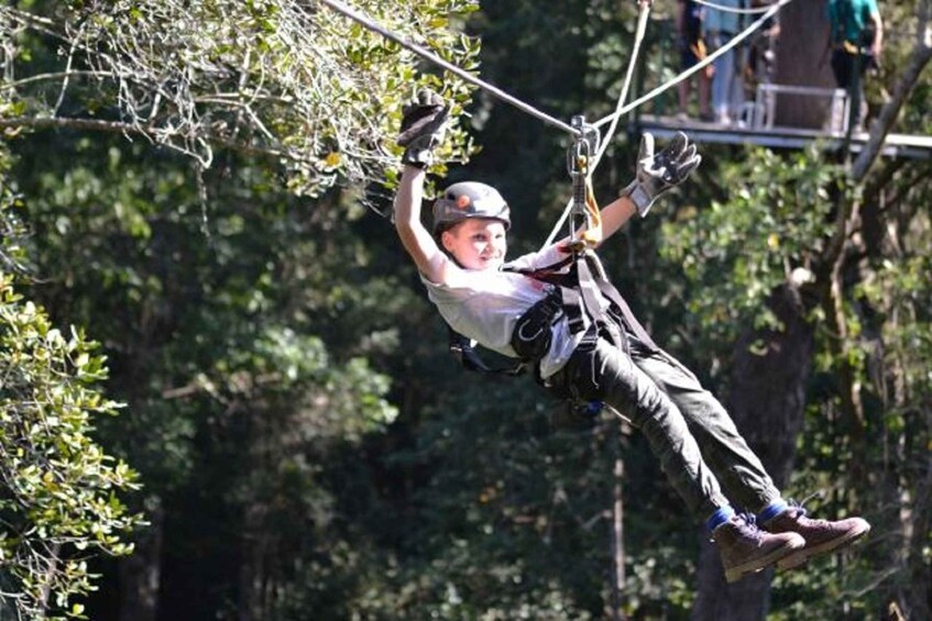 Picture 4 for Activity Storms River: Tsitsikamma National Park Zipline Canopy Tour