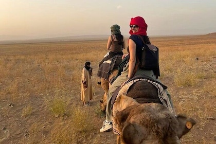 Overnight Adventure to Zagora Journey Under the Stars - Marrakesh
