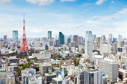 Tokyo Private Tour with Licensed Guide from Disney area
