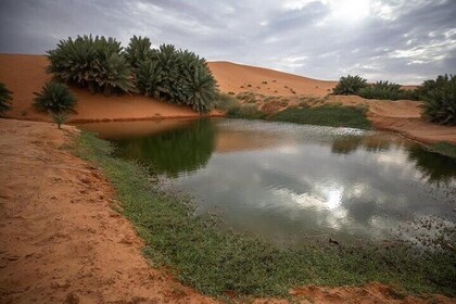 Riyadh Desert Escape: Buraydan Lake, Heritage Village &Salt Flats