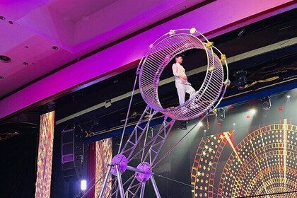 Beijing Acrobatics Show Tickets at Qinle Palace