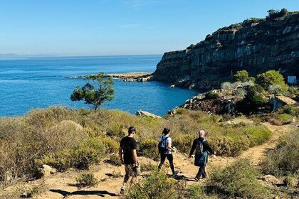 Tangier Coastal Hiking Adventure