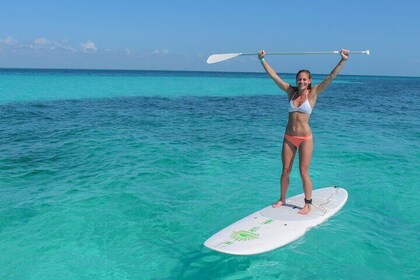 Luxury Sailing and Snorkeling Tour in Riviera Maya