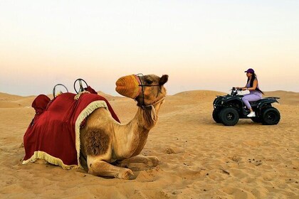 Abu Dhabi Evening Desert Safari with Live Shows and BBQ Dinner