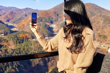 Nami, Alpaca, Petite France, Morning Calm Begonia One Day Tour