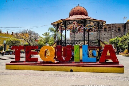 Tequila & Ancient Ruins: Private Day Trip from Puerto Vallarta