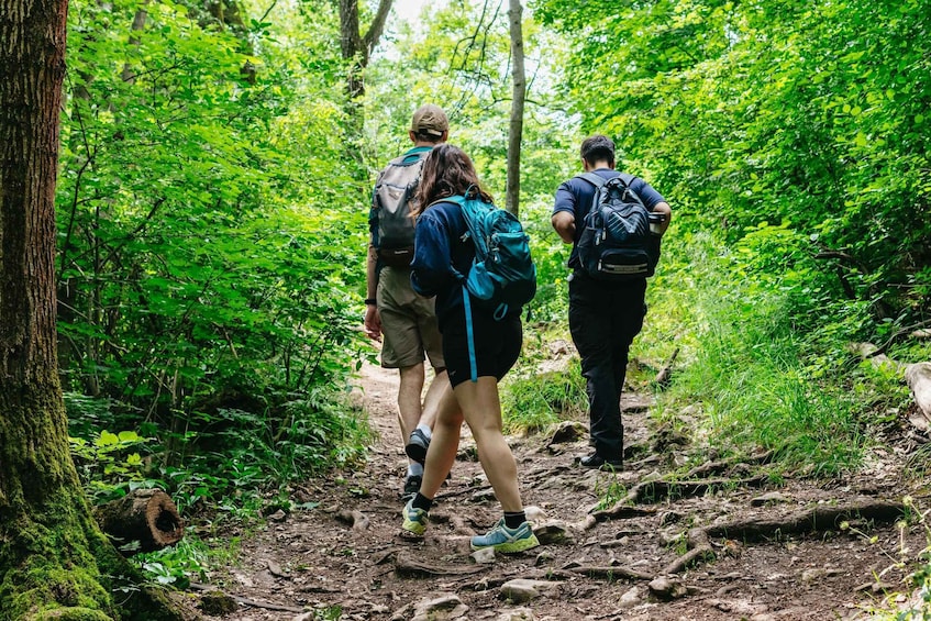 Picture 11 for Activity Budapest: Buda Hills Guided Hiking Tour with Optional Lunch