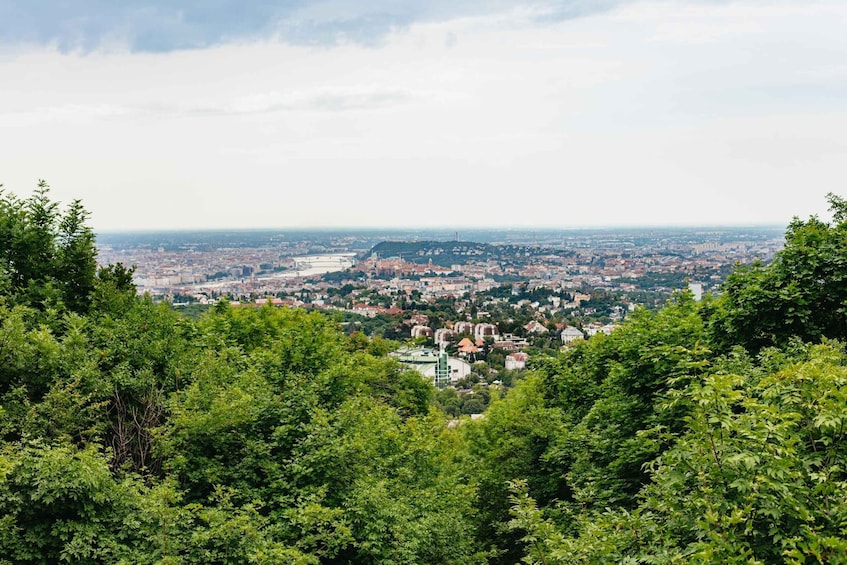 Picture 3 for Activity Budapest: Buda Hills Guided Hiking Tour with Optional Lunch