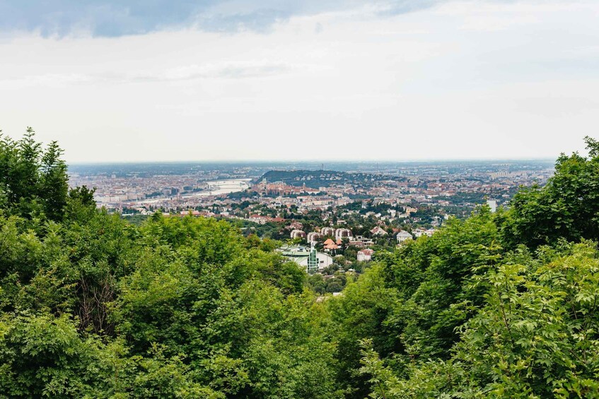 Picture 3 for Activity Budapest: Hiking Tour in the Buda Hills