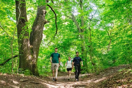 Budapest: Buda Hills: Opastettu patikointikierros ja valinnainen lounas