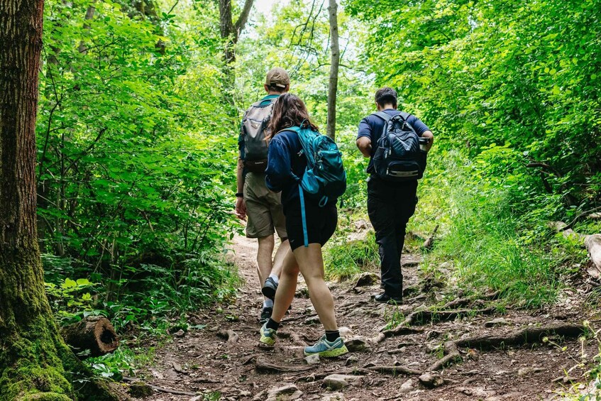 Picture 11 for Activity Budapest: Hiking Tour in the Buda Hills