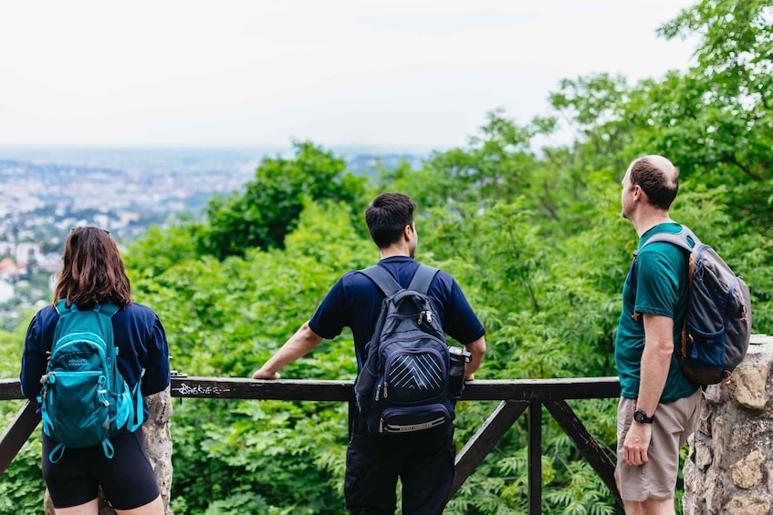 Picture 7 for Activity Budapest: Buda Hills Guided Hiking Tour with Optional Lunch