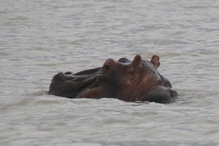 Overnight Georgetown Safari with Local Experiences