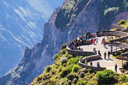 Colca Canyon Full Day Adventure with Lunch