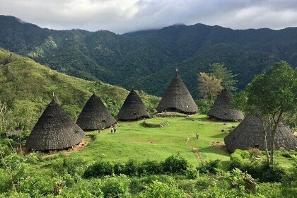 Wae Rebo Village Day Trip with Trekking from Labuan Bajo