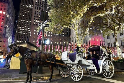 Luxury Horse and Carriage Rockefeller and Christmas lights tour