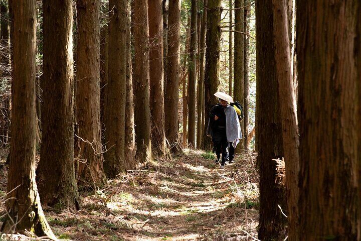 侍が歩いた杉の街道を江戸旅人衣装で歩くツアー
