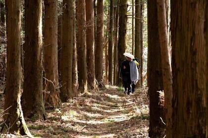 Usui Pass Edo Era Walk