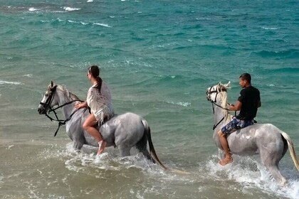 2 hour Horse Riding on the Desert and the Sea from Hurghada