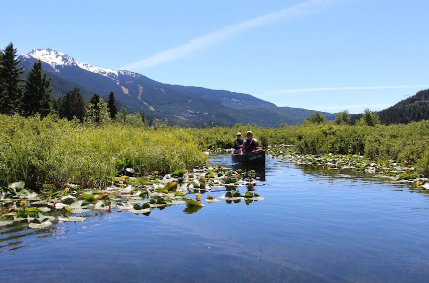 River of Golden Dreams Canoe or Kayak Tour - Guided